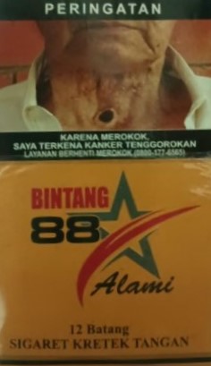Bintang 12