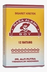 Boy 12 
