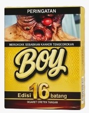 Boy 16