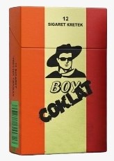 Boy Cklat 12